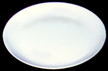 WSO7 Dinner Plate