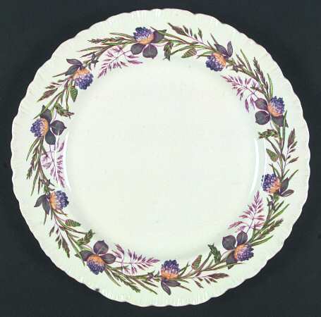 Clover Border by Wedgwood