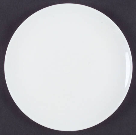 Alpine White Dinner Plate