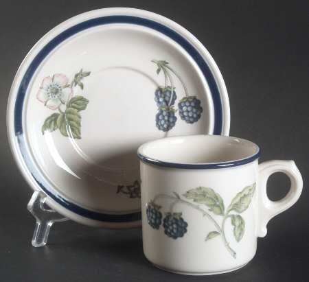 Bramble Multicolor (Oven To Table) Flat Cup & Saucer Set