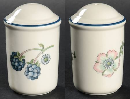 Bramble Multicolor (Oven To Table) Salt Shaker