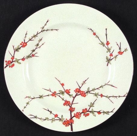 Chinese Sprays by Wedgwood