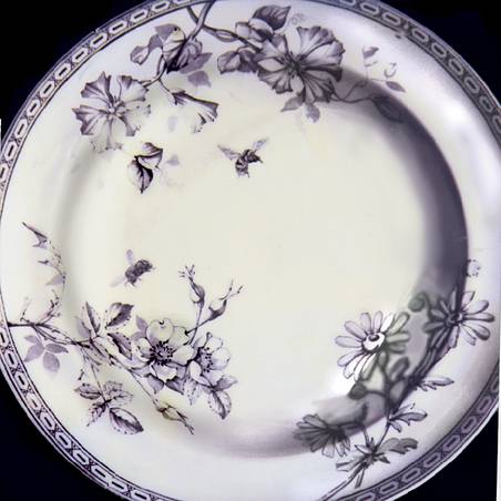 Clematis Gray by Wedgwood