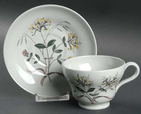 Country Lane Footed Cup & Saucer Set by Wedgwood