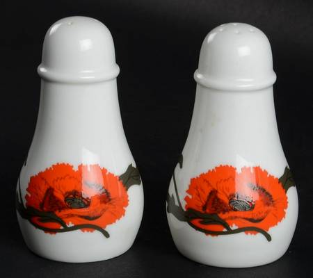 Cornpoppy (Susie Cooper) Salt & Pepper Set