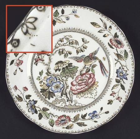Davenport Green Multicolor Salad Plate by Wedgwood
