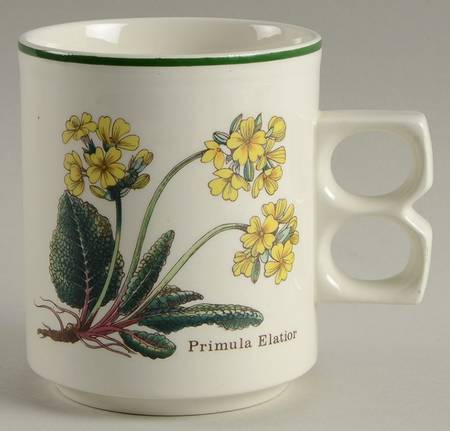 Florabunda Mug