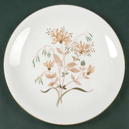 Honeysuckle Rust by Wedgwood