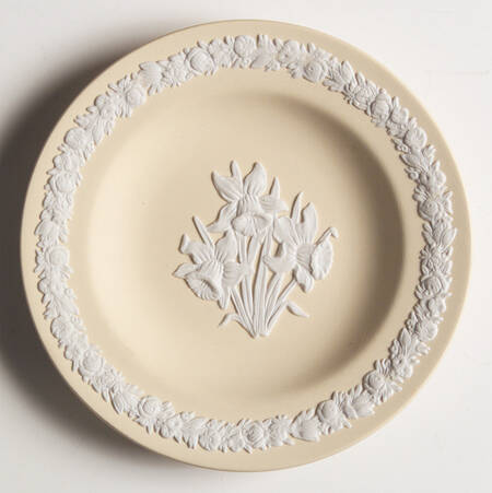 Cream Color on Primrose Jasperware Round Tray