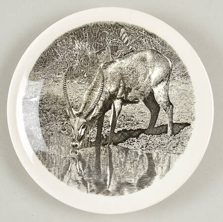 Kruger National Park Kruger Park Stamp Bread & Butter Plate