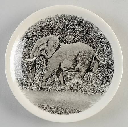 Kruger National Park Kruger Park Stamp Bread & Butter Plate