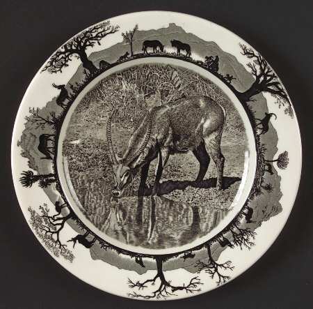 Kruger National Park Kruger Park Stamp Salad Plate