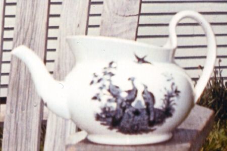 Liverpool Birds Black (No Trim) Teapot No Lid