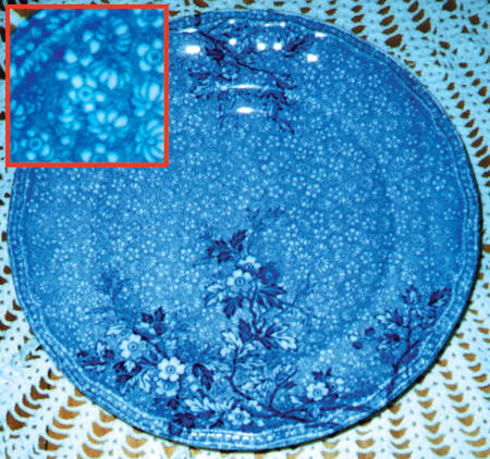 Monique Dinner Plate