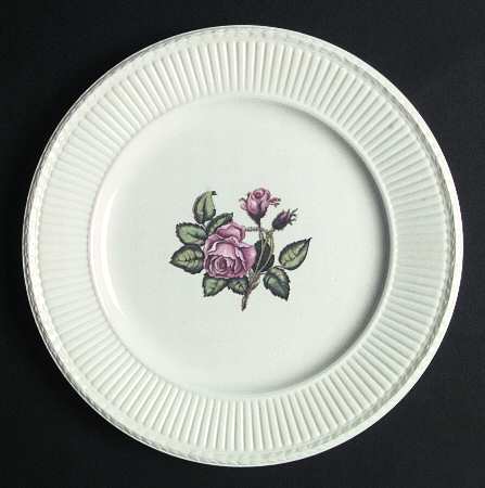 Moss Rose (Older, Brown Backstamp) by Wedgwood