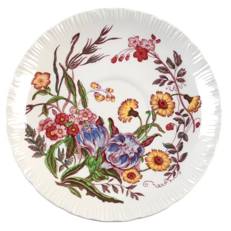 Ranunculus Multicolor Saucer for Flat Cup