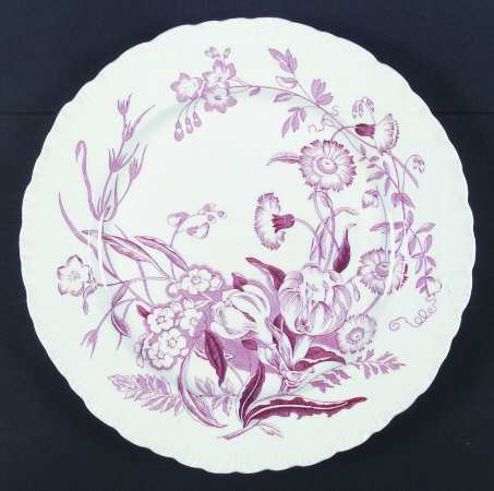 Ranunculus Pink by Wedgwood
