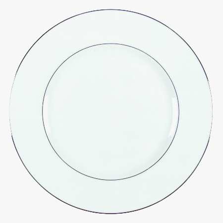 Regal Platinum by Wedgwood