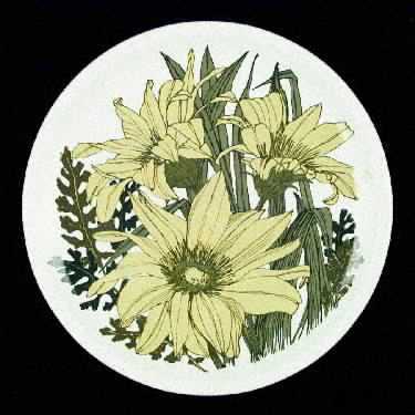 Riviera by Wedgwood