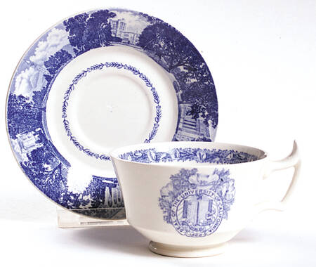 University of California Blue Footed Cup & Saucer Set