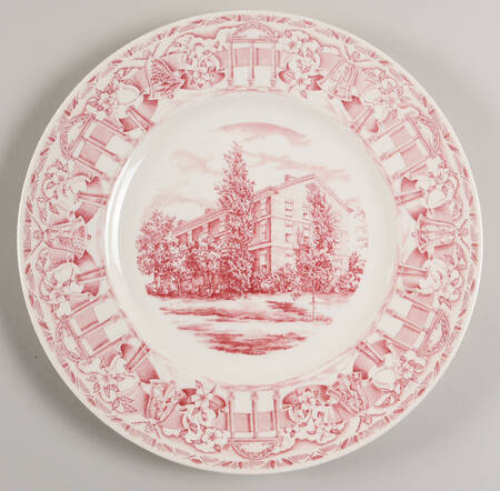 University of Georgia Pink Dinner Plate
