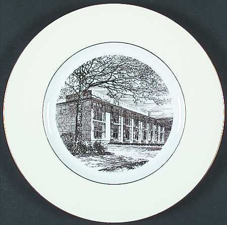 Massachusetts Institute of Tech Brown by Wedgwood