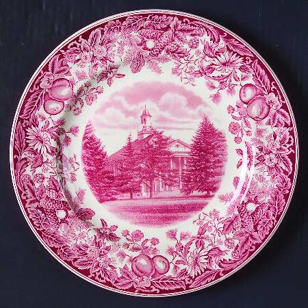 Vassar College Pink Dinner Plate