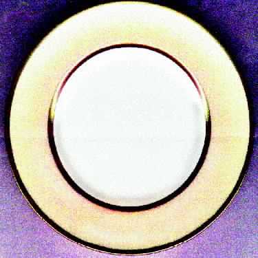W4160 by Wedgwood