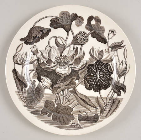 Water Lily Black by Wedgwood