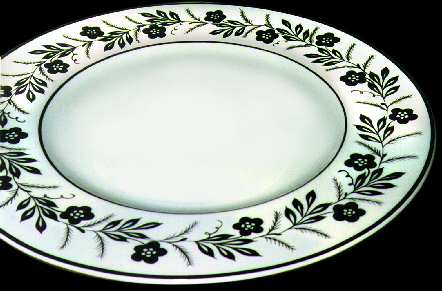 WH4090 by Wedgwood