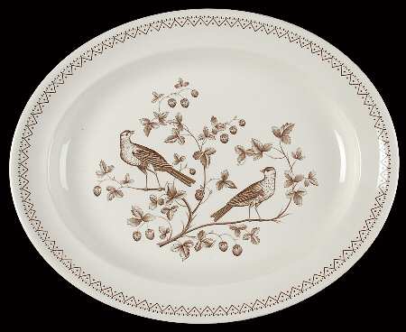 Williamsburg Aviary 14" Oval Serving Platter