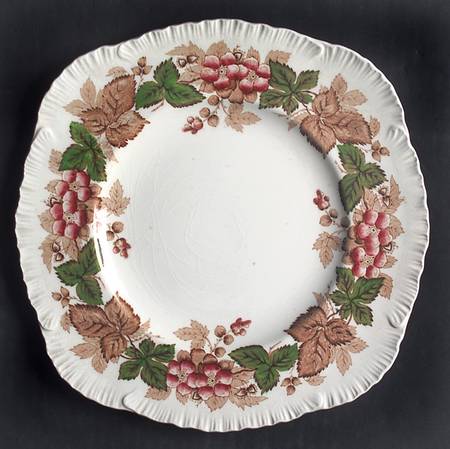 Wildbriar Brown Pink Square Luncheon Plate