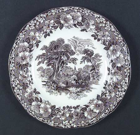 Woodland Brown by Wedgwood