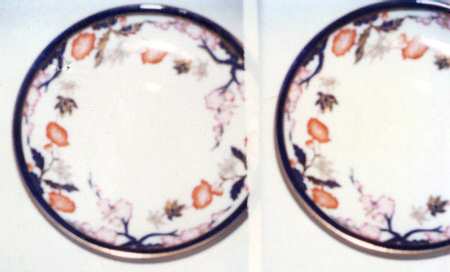 X6986 by Wedgwood