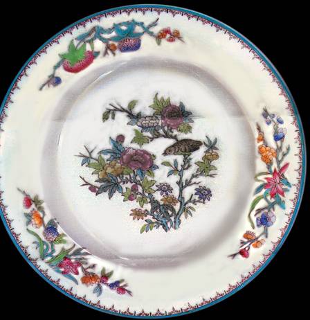 Y309 by Wedgwood
