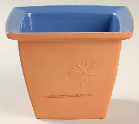 Sarah's Garden Small Planter