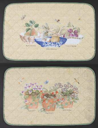 Sarah's Garden Cloth Placemat - Set of 2