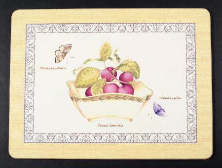 Sarah's Garden Small Corkboard Placemat