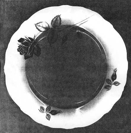 WIG251 Dinner Plate