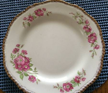 WOO26 Dinner Plate