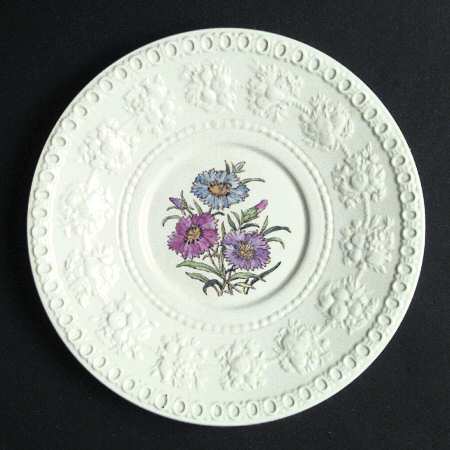 Dianthus Wellesley by Wedgwood