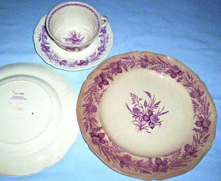 Clover (Maroon) by Wedgwood