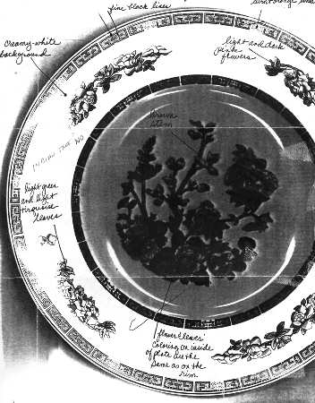 WW117 Dinner Plate