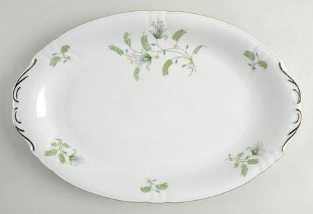 B. Fern (Swirl Rim) 13" Oval Serving Platter
