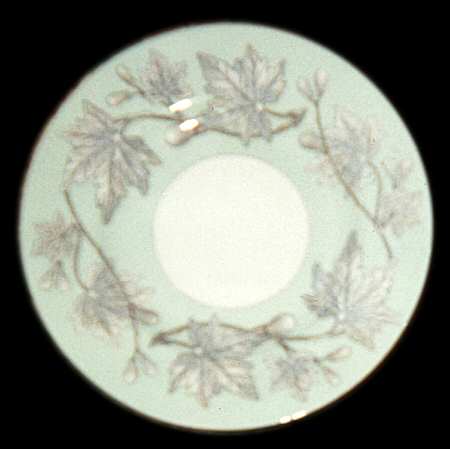 Ashford Green by Wedgwood