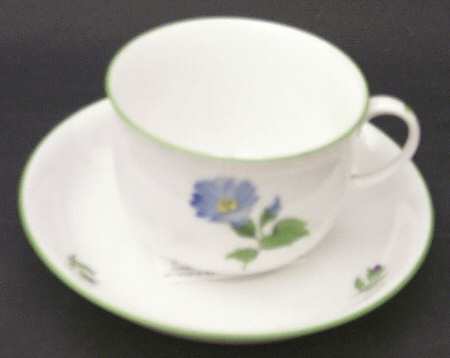 Wiener Blumen Flat Cup & Saucer Set