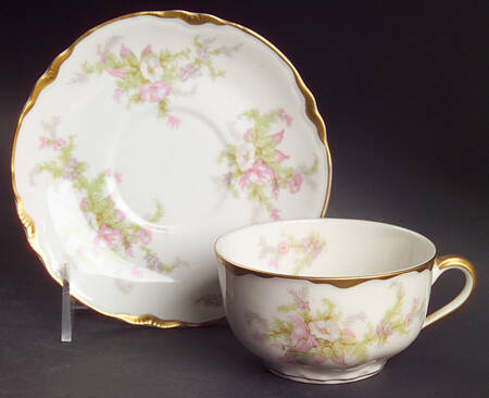 Apple Blossom (Gold Trim & Daubs) Flat Cup & Saucer Set