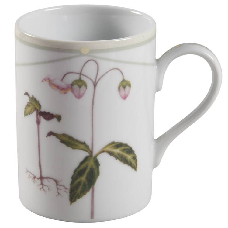North American Wildflowers Mug