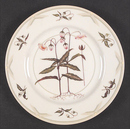 North American Wildflowers Salad Plate