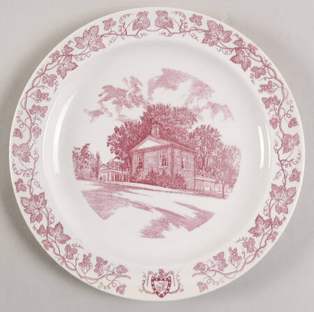 Monticello Pink (Grapevine Rim) Dinner Plate